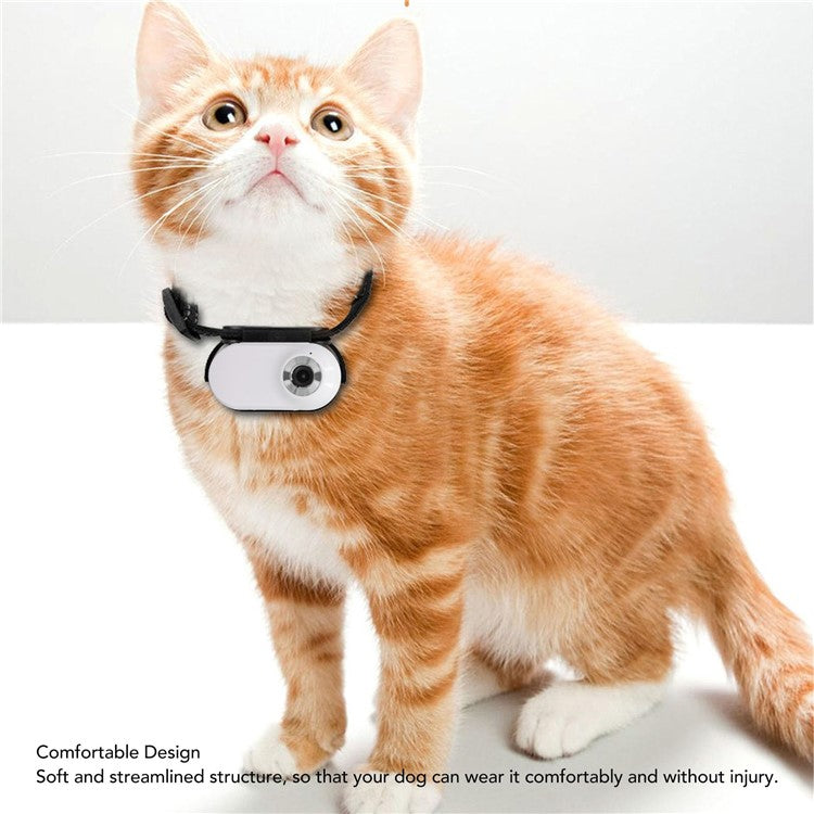 Cat Dog Camera Collar with Camera Video Record Wireless Mini Sport Body Camera - TechGearPal