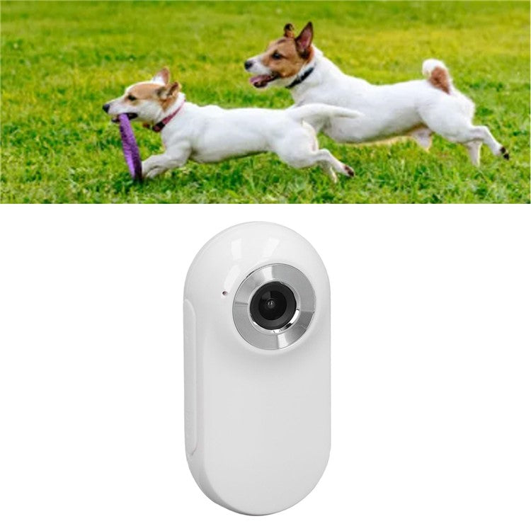 Cat Dog Camera Collar with Camera Video Record Wireless Mini Sport Body Camera - TechGearPal