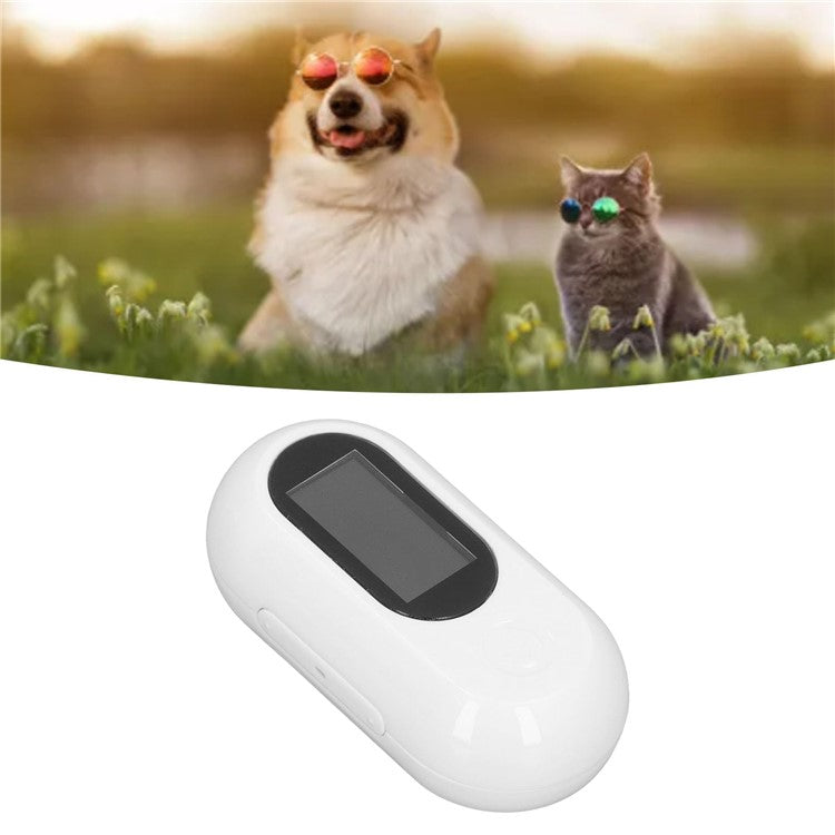 Cat Dog Camera Collar with Camera Video Record Wireless Mini Sport Body Camera - TechGearPal