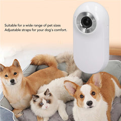 Cat Dog Camera Collar with Camera Video Record Wireless Mini Sport Body Camera - TechGearPal